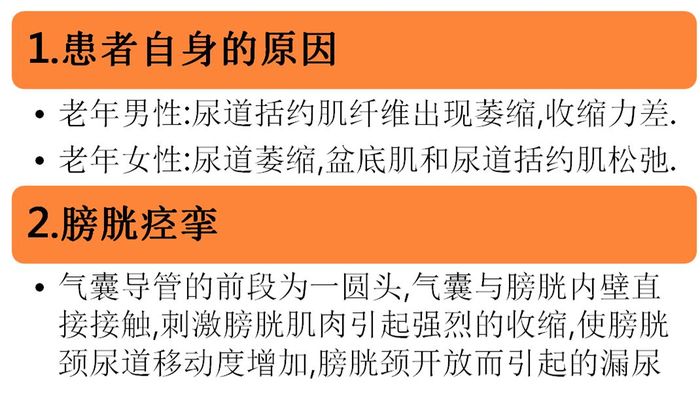 较男性尿道短,宽而直,长3-5厘米,直径约为6毫米,易于扩张,可达10-13